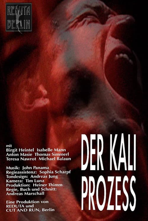 Poster for Der Kali Prozess