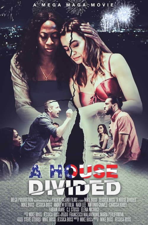 Poster for A House Divided