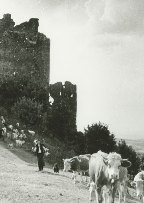 Poster for Stones, Castles and Men