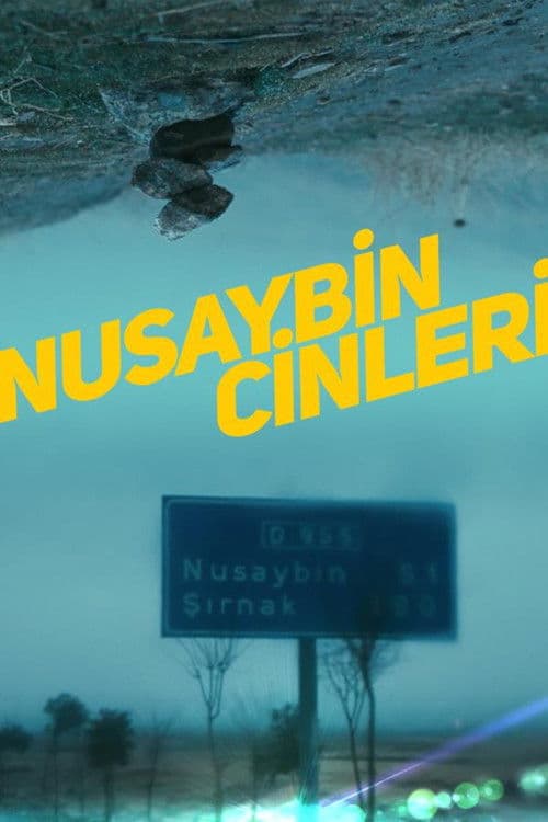 Poster for Nusaybin Cinleri