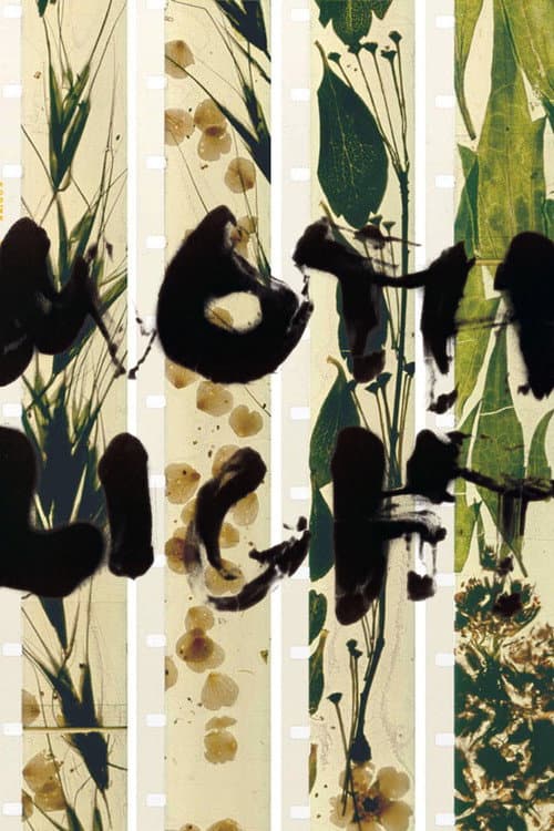 Poster for Mothlight