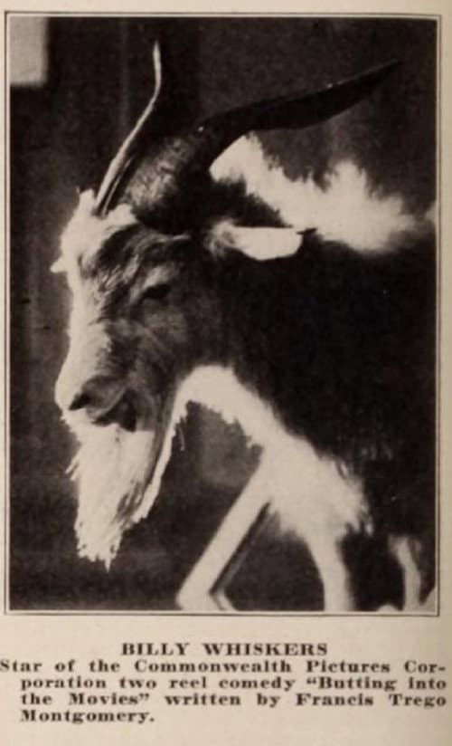 Poster for Billy Whiskers