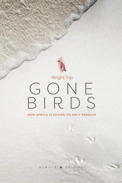 Poster for Gone Birds