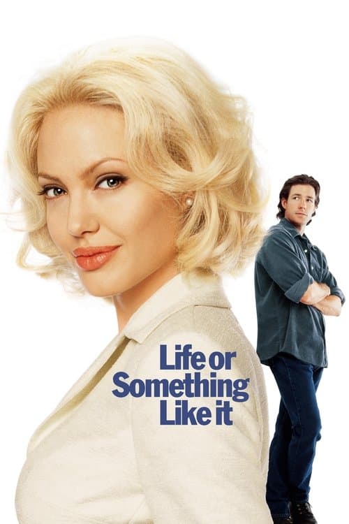 Poster for Life or Something Like It