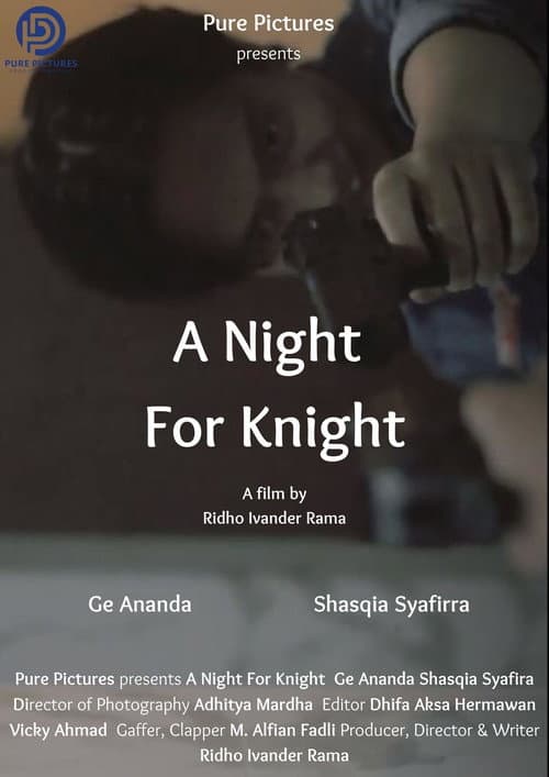 Poster for A Night For Knight