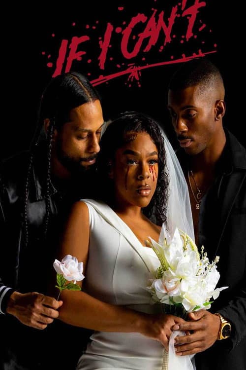 Poster for If I Can't