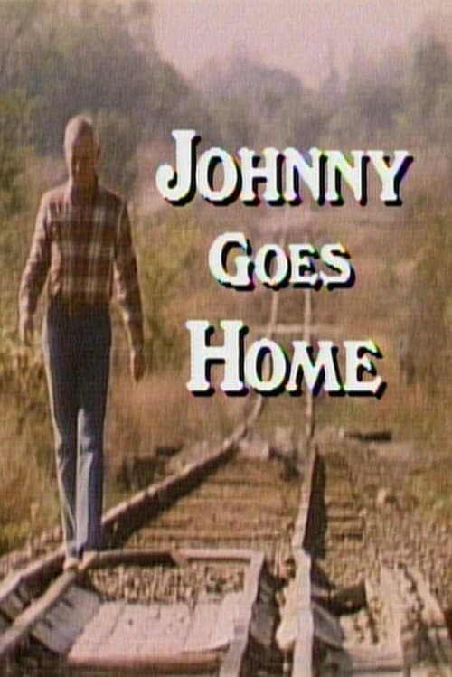 Poster for Johnny Goes Home