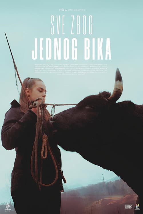 Poster for About a Bull