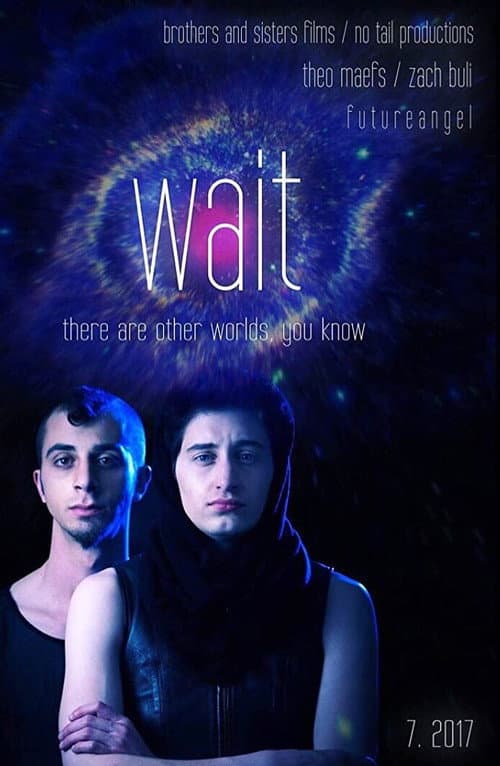 Poster for Wait