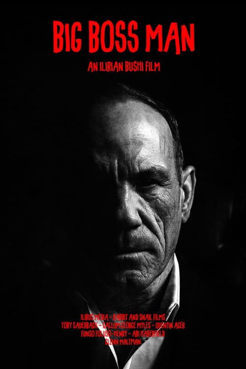Poster for BIG BOSS MAN