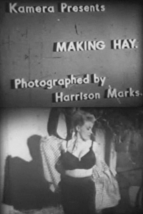 Poster for Making Hay