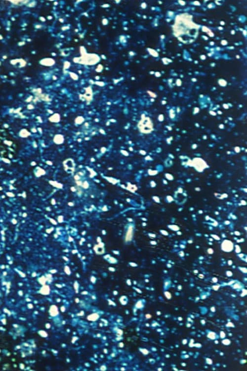 Poster for Ephemeral Solidity
