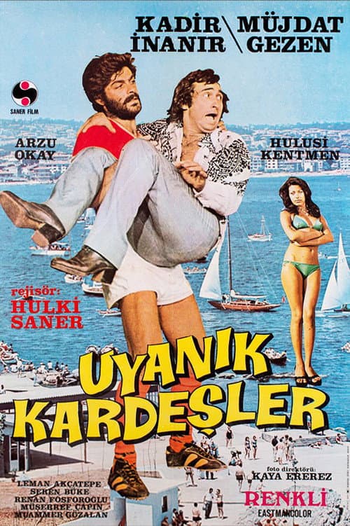 Poster for The Cunning Brothers