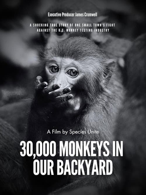Poster for 30,000 Monkeys in Our Backyard