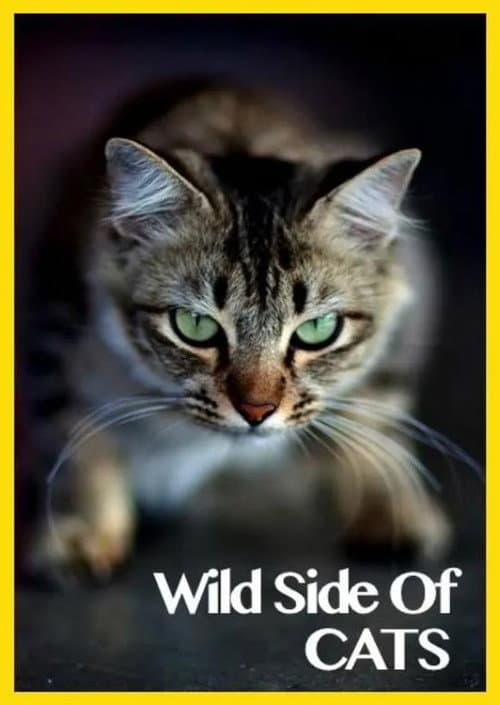 Poster for Wild Side of Cats