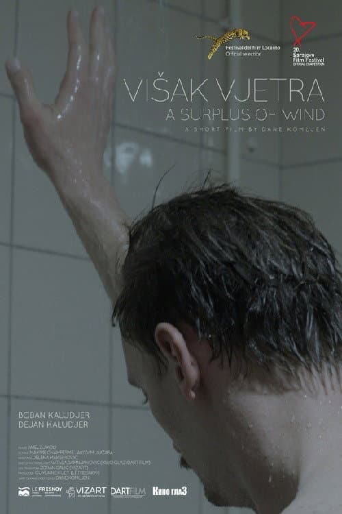 Poster for A Surplus of Wind