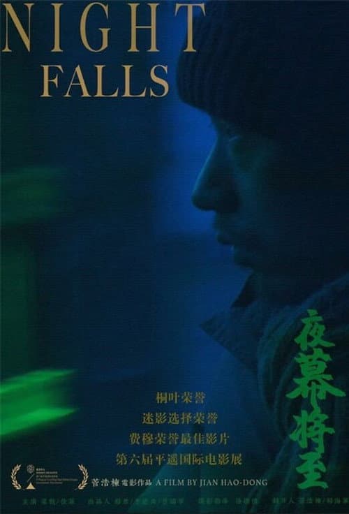 Poster for Night Falls