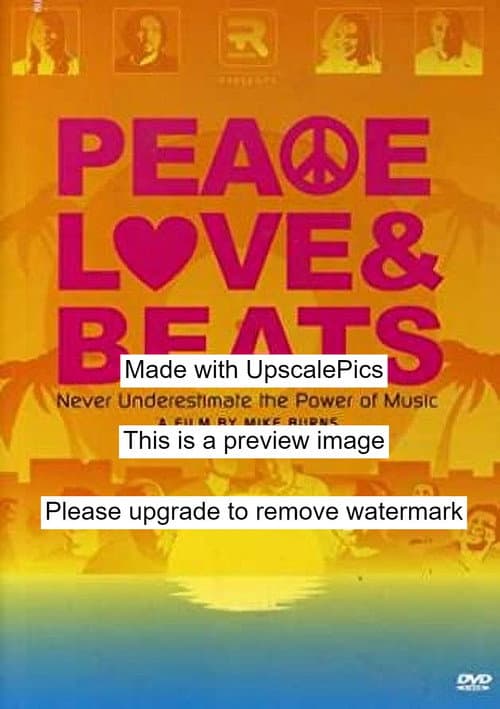 Poster for Peace Love & Beats