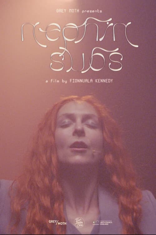 Poster for Nephin Subs
