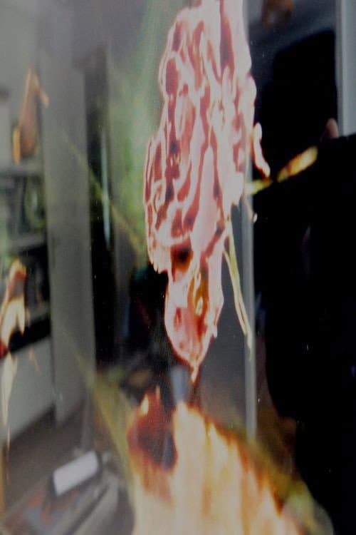 Poster for Let the Roses Live