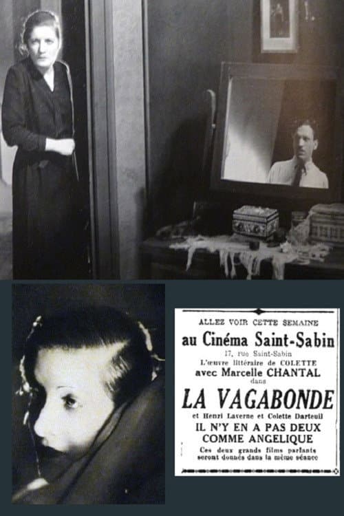 Poster for The Wanderer