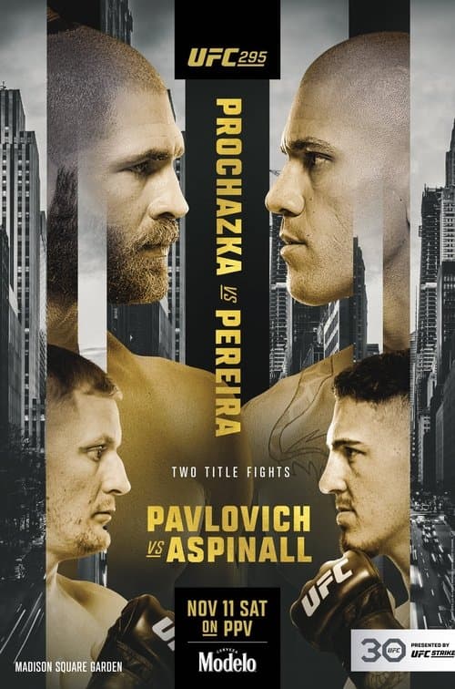 Poster for UFC 295: Prochazka vs. Pereira