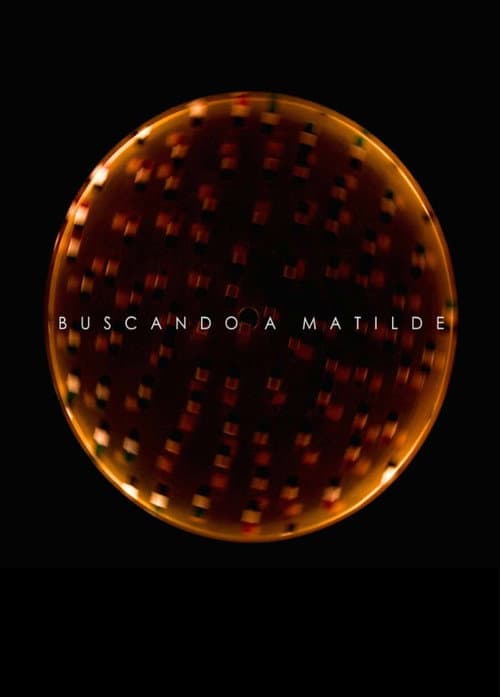 Poster for Looking for Matilde