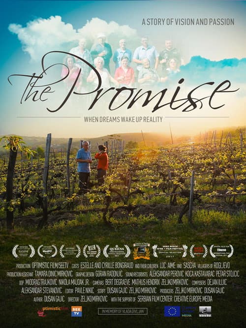 Poster for The Promise