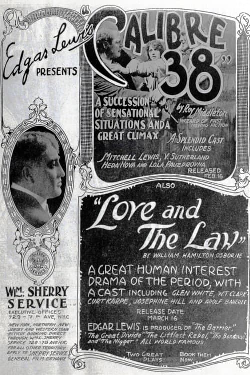 Poster for Calibre 38