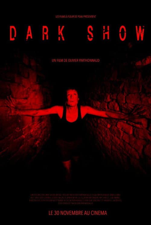 Poster for Dark Show