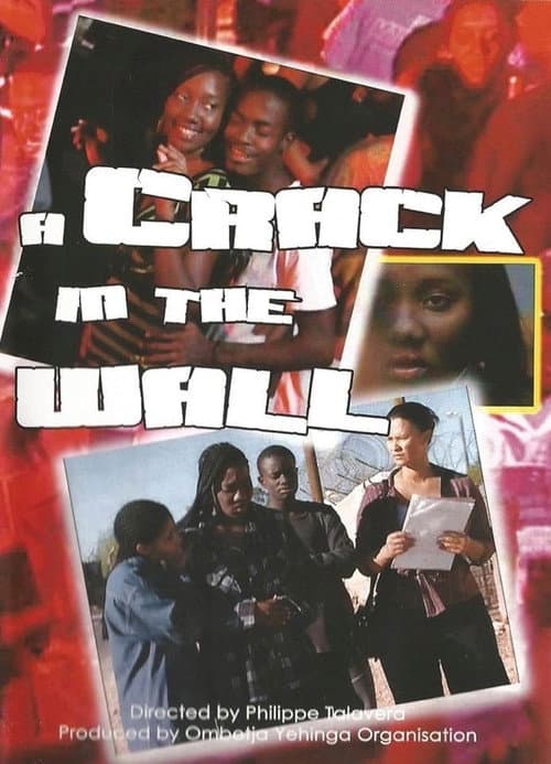 Poster for A Crack in the Wall