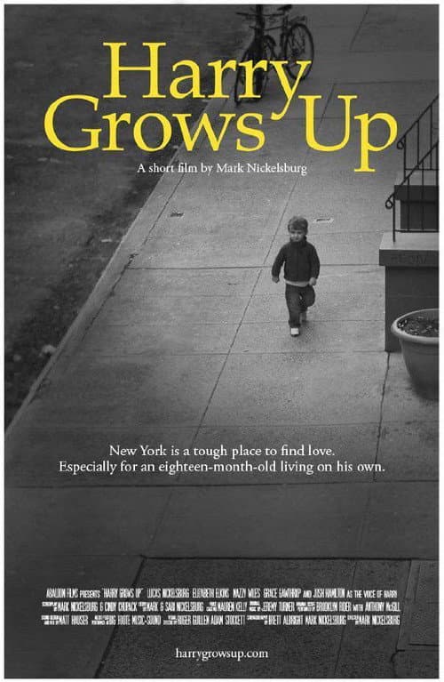 Poster for Harry Grows Up