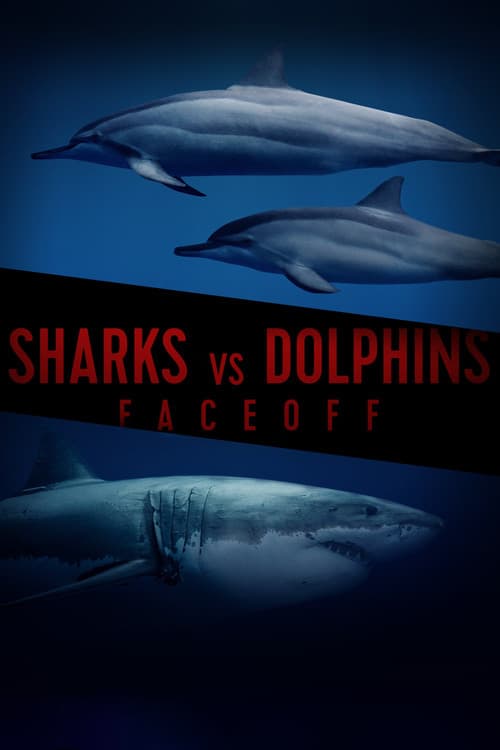 Poster for Sharks Vs. Dolphins: Face Off
