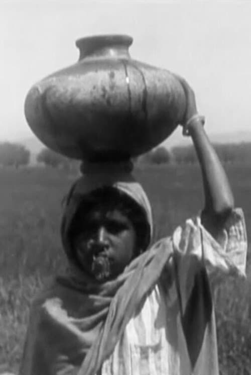 Poster for A Punjab Village