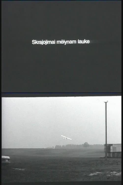 Poster for Flying Over the Blue Fields