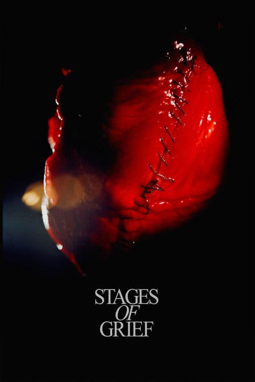 Poster for Stadier af sorg
