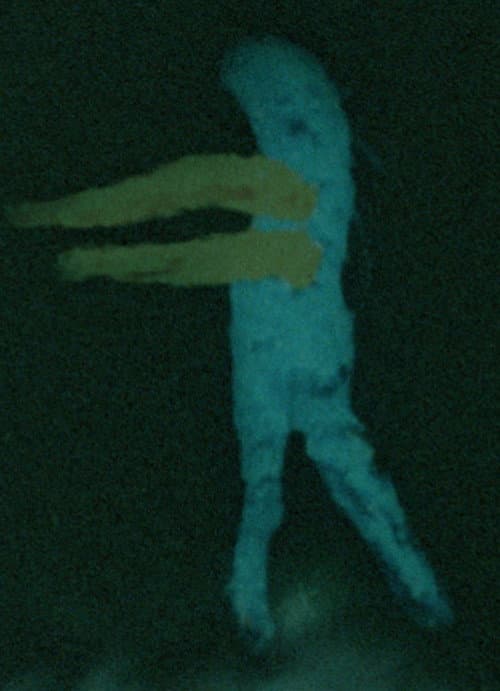 Poster for Final Obscura