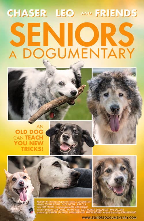 Poster for Seniors: A Dogumentary