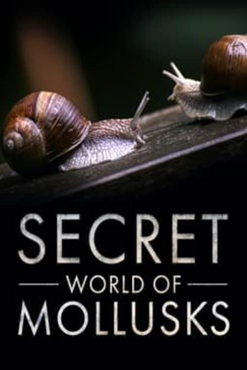 Poster for Secret World of Mollusks