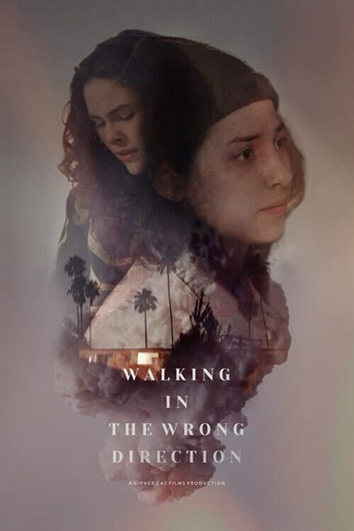Poster for Walking in the Wrong Direction