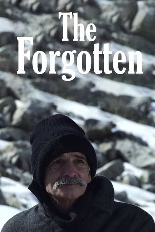 Poster for The Forgotten