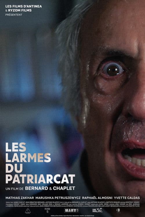 Poster for Les Larmes du Patriarcat