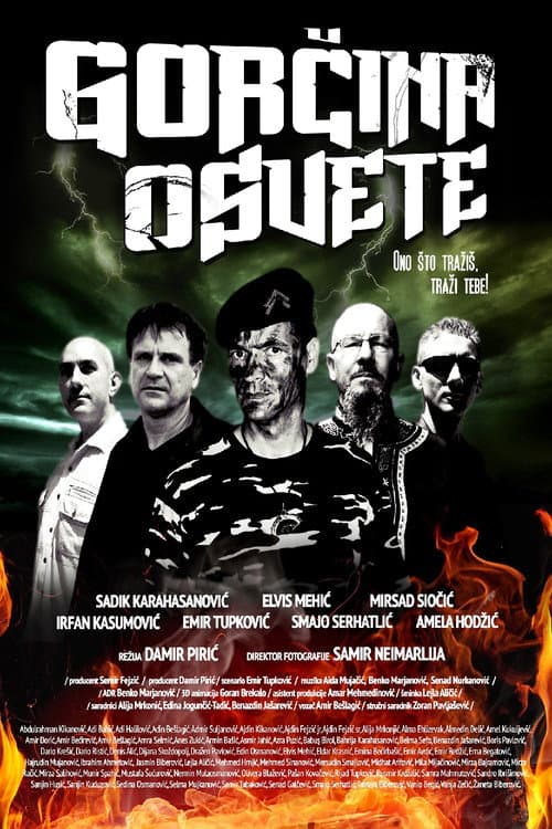 Poster for The Bitterness of Revenge