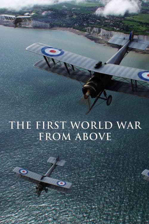 Poster for The First World War From Above