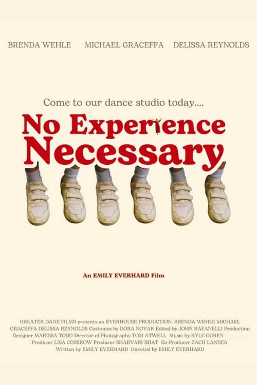 Poster for No Experience Necessary