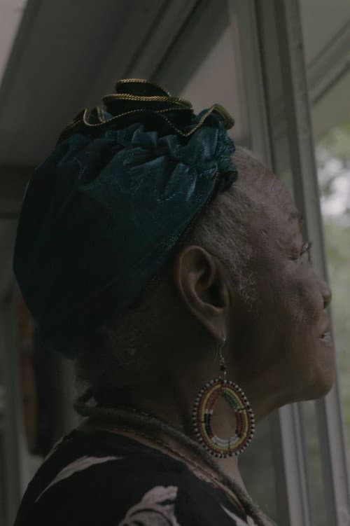 Poster for The Ancestors Came