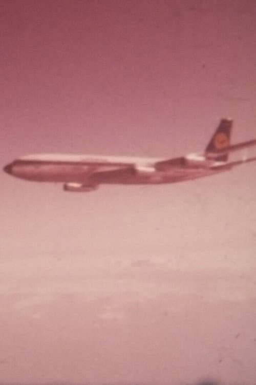 Poster for Mrs. Passenger und die B747