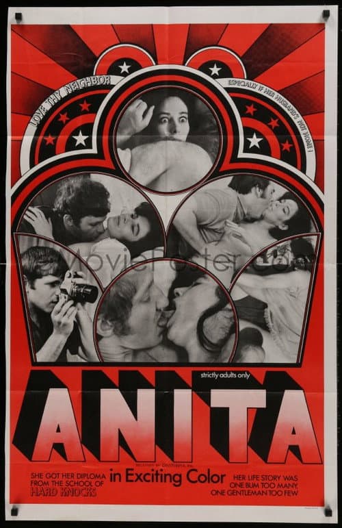Poster for Anita