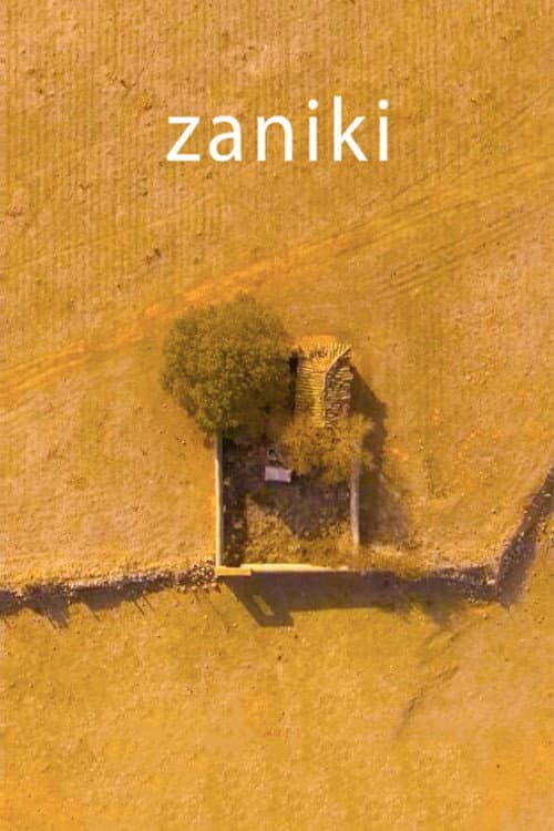 Poster for Zaniki