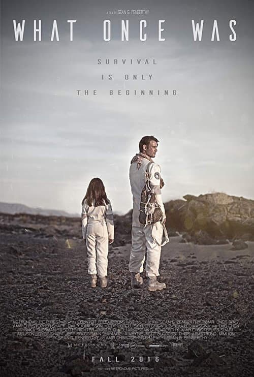 Poster for What Once Was